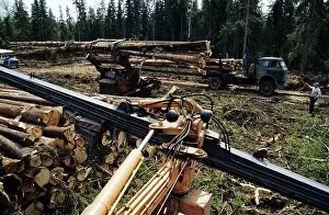 Trucks: Wood procurement, 1981