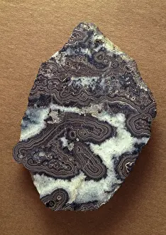 Cassiterite: Wood tin, variety of cassiterite