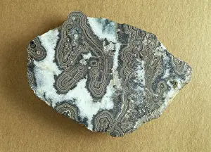 Aggregate: Wood tin, variety of cassiterite