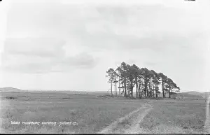 Dirt: Woodbury Common