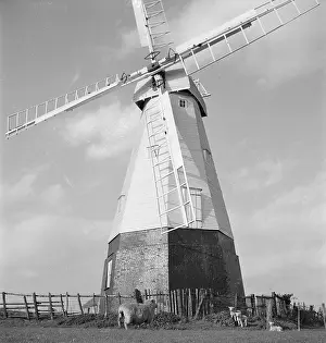 Tarred: Woodchurch Windmill