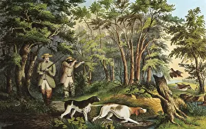 Woodcock: Woodcock Shooting