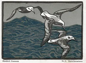 The Andrew Jenkins Collection: Woodcut: Three birds over waves