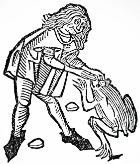 Believed: A woodcut engraving depicting the extraction of