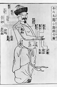 Acupuncture: Woodcut illustrating acupuncture points ?