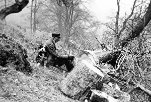 Woodcutter: Woodcutter and dog