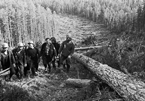 Lena: Woodcutter team on Baikal Amur Mainline, 1974