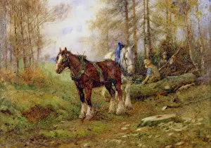 Woodcutters: The Woodcutters