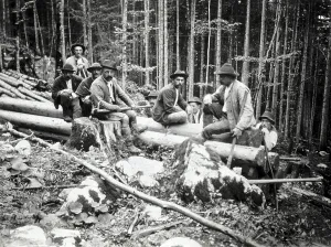 Woodcutters: Woodcutters in the forest during a break. about 1910