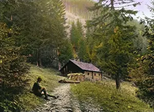Woodcutter: Woodcutter's lodge