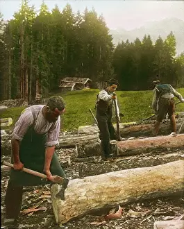 Woodcutter: Woodcutters are lopping off and barking the logs