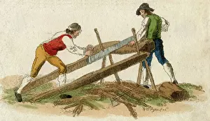 Woodcutters: WOODCUTTERS SAW A LOG