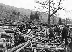Newfoundland: Woodcutters in Scotland, 1940s