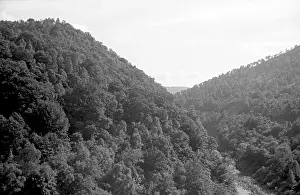 Lochs: Wooded valley