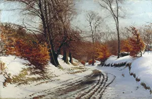Marius: A Wooded Winter Landscape
