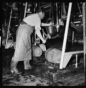 Casks: Wooden barrels or casks being filled with beer