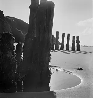 Groyne: Wooden groynes