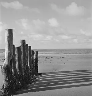 Groyne: Wooden groynes