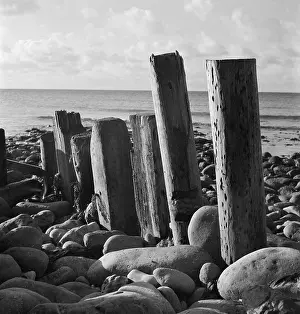 Groyne: Wooden groynes