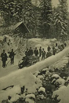 Josefa: Wooden sled in Hauergraben / Lainauthal. Timber