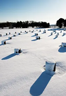 Woodhenge: Woodhenge