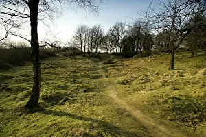 Maur: Woodland footpath at Ypres, 2004