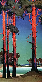 Stems: Woodland Scene
