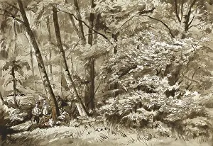 Seek: Woodland scene