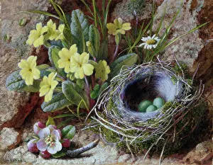 Slater: Woodland in Spring ' nest, primroses etc