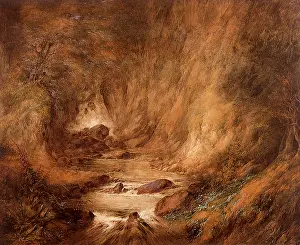 Streams: A Woodland Stream