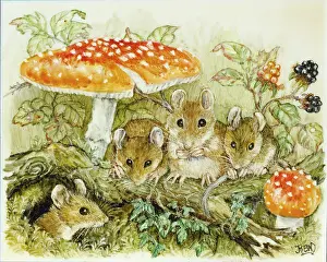 Blackberries: Woodmice with Toadstools and Blackberries