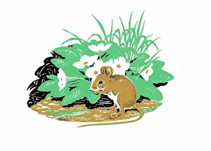 Lees: Woodmouse