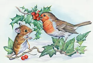Woodmouse: Woodmouse and robin with holly & ivy in snow