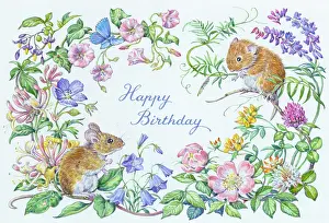 Convolvulus: Woodmouse and Vole with Blue Butterfly etc
