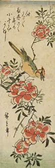 Woodpeckers: Woodpecker on paeony spray