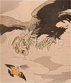 Swooping: WOODROW WILSON/VULTURE