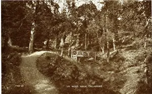 Stirlingshire: The Woods & Bridge, Callander, Stirlingshire