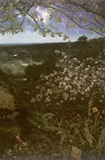 Roots: Woods in Spring