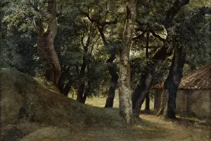 Valenciennes: Woods of the Villa Borghese, Rome'. Pierre de