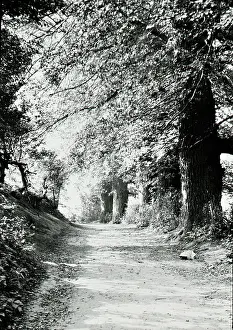 Woodside: Woodside Lane
