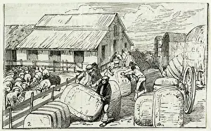 Argentinian: WOOL BALES IN ARGENTINA