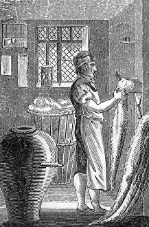 Combing: Wool-Comber