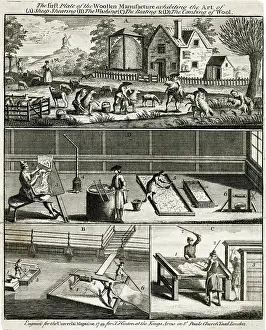 Shearing: Wool - Early Processes