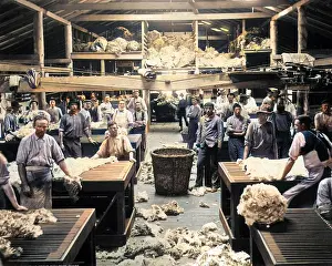 Storing: Wool sorting and classing, Burrawang, Australia