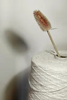 Spool: Woollen yarn, workshop, Laines Paysannes, Ariege, France