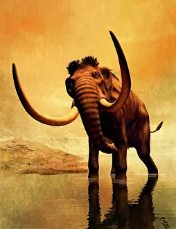 Mastodon: A woolly mammoth in a dramatic frozen sunset