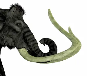 Mastodon: Woolly mammoth headshot