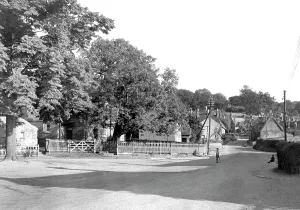 Woolsthorpe: Woolsthorpe, the Village c1955