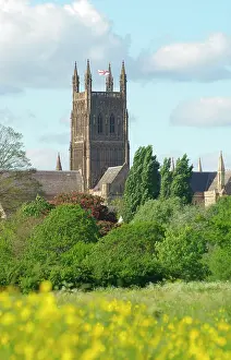Perpendicular: Worcester Cathedral, Worcestershire