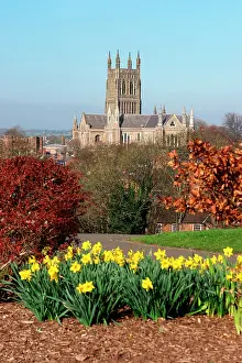 Perpendicular: Worcester Cathedral, Worcestershire